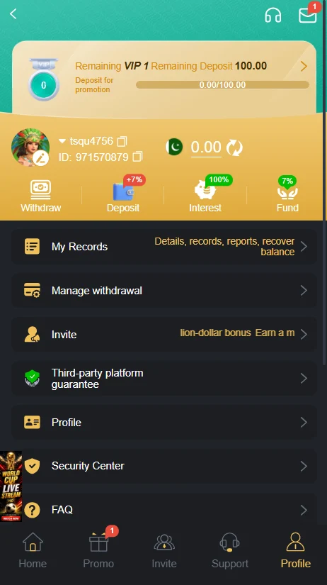 Six Profile